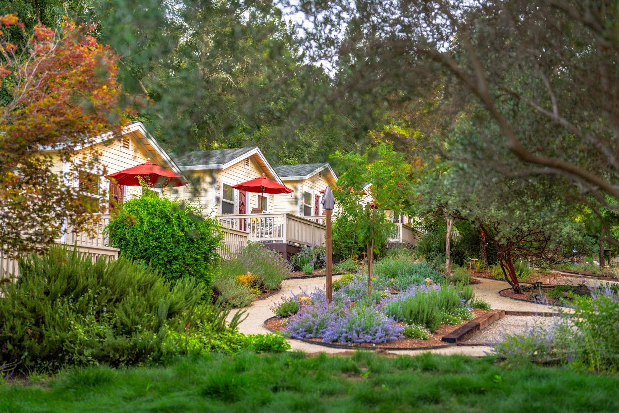 Aurora Park Cottages Calistoga Extérieur photo
